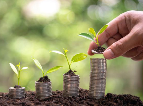 Okoliš, Društvo i Upravljanje 